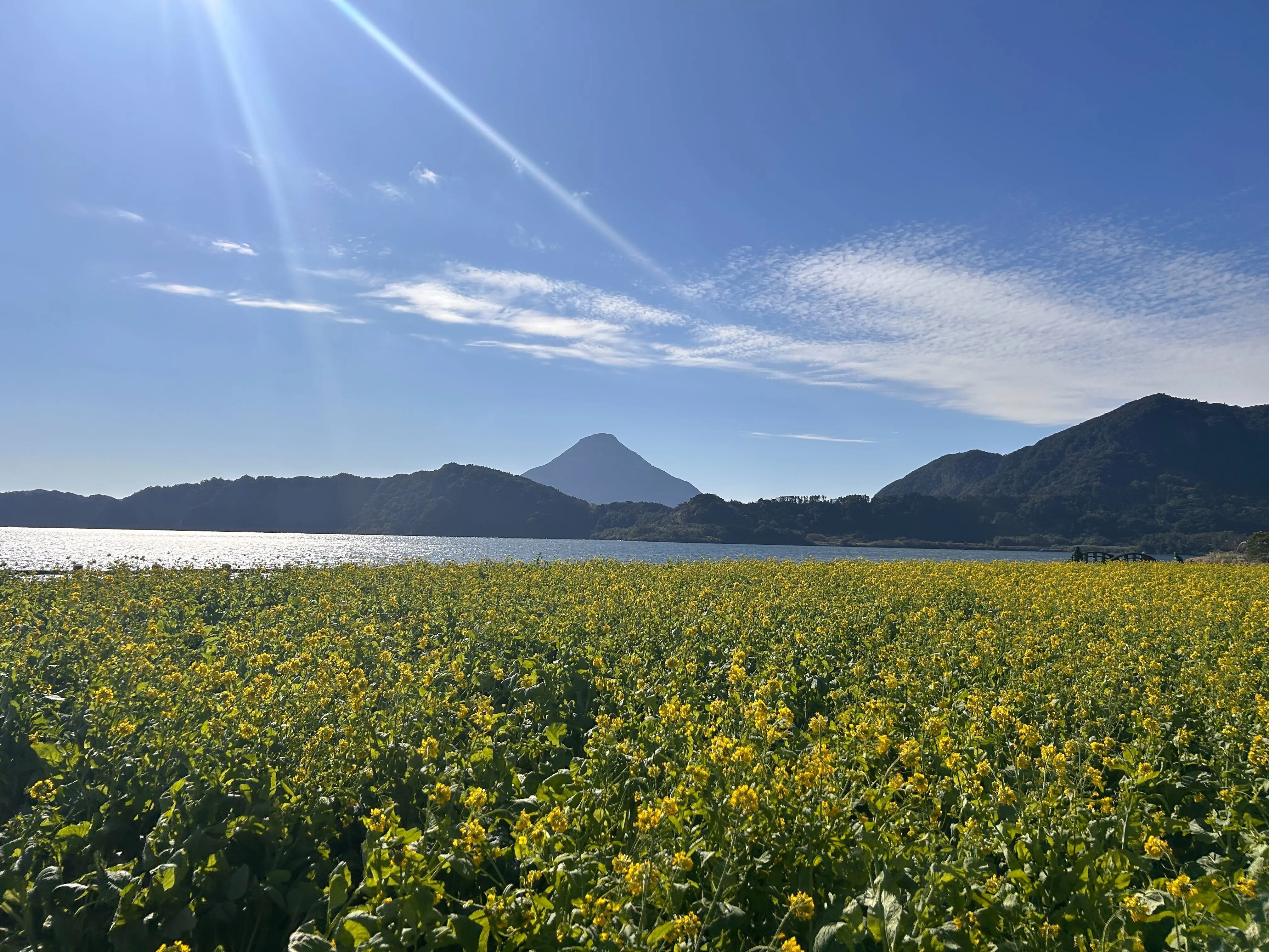 鹿児島
